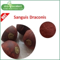 Dragon's blood Extract Powder